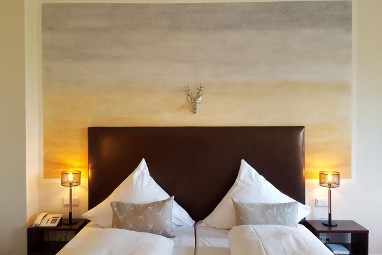 TOP Hotel Jagdschloss Niederwald: Room